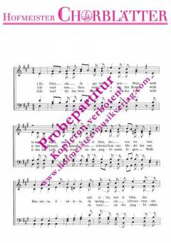 Es blies ein Jäger wohl in sein Horn 