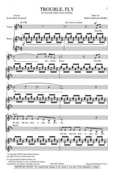 Trouble, Fly (Patricia McKernon Runkle) 