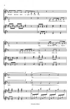 Trouble, Fly (Patricia McKernon Runkle) 