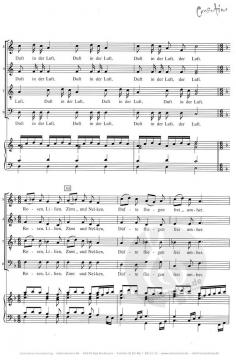 ... gehn Sie mit uns durch den Garten ... (Gerhard Rabe) 