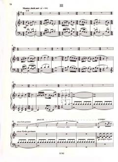 Die Schönheit des Morgens von Wilhelm Killmayer 