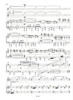 Konzert op. 33 von Stefan Heucke 