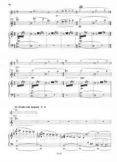 Konzert op. 33 von Stefan Heucke 