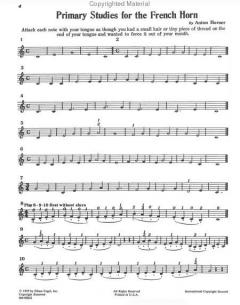 Primary Studies von Anton Horner für Horn bei alle-noten.de
