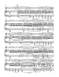 Konzert Nr. 1 op.11 Es-Dur von Richard Strauss für Waldhorn und Klavier