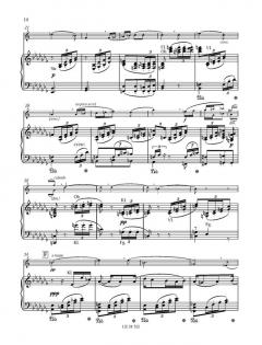 Konzert Nr. 1 op.11 Es-Dur von Richard Strauss für Waldhorn und Klavier