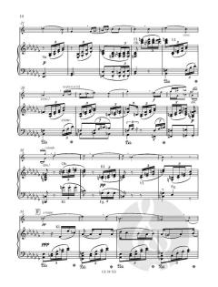 Konzert Nr. 1 op.11 Es-Dur von Richard Strauss für Waldhorn und Klavier