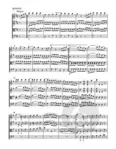 Eine kleine Nachtmusik KV 525 von Wolfgang Amadeus Mozart 