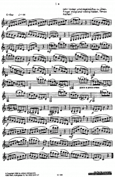 30 Etüden 1 von Karl Maria Kubizek 