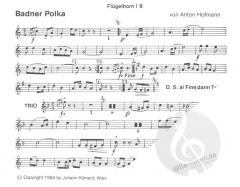 Badner Polka (Anton Hofmann) 