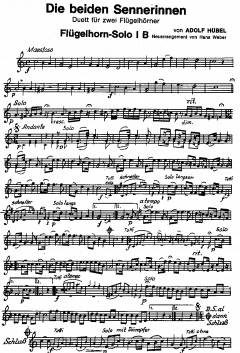 Die beiden Sennerinnen (Adolf Hübel) 