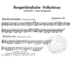 Österreichische Volksmusik 1: Burgenländische Volkstänze 