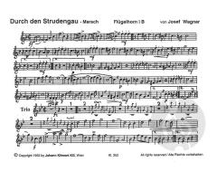 Einzug der Dorfmusik (Joseph Wagner) 