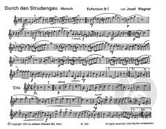 Einzug der Dorfmusik (Joseph Wagner) 