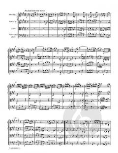 Sinfonie Nr. 30 D-Dur KV 202(186b) von Wolfgang Amadeus Mozart 