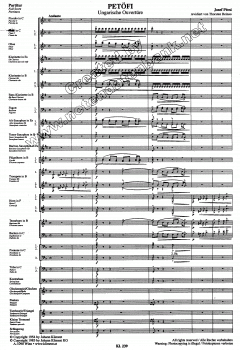 Fahnenwache (Johann Holzinger) 