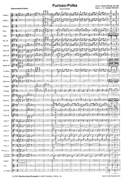 Furiant von Vladimir Stastny 