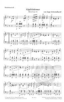 Gipfelstürmer (Sepp Schwindhackl) 