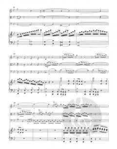 Klavierquartett g-Moll KV 478 (W.A. Mozart) 