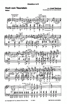 Hoch vom Traunstein (Adolf Vancura) 