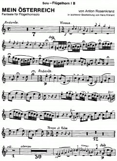 Mein Österreich (Anton Rosenkranz) 