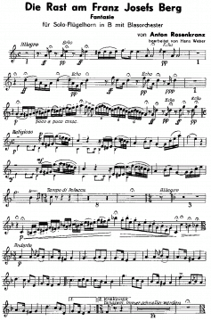 Die Rast am Franz Josefs Berg (Anton Rosenkranz) 