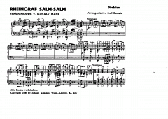 Rheingraf Salm-Salm (Gustav Mahr) 