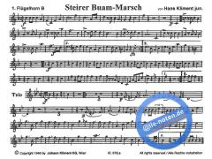 Ruetz-Marsch (Erwin Trojan) 