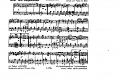 Unter dem Siegesbanner (Franz von Blon) 