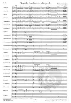 Weus'd a Herz hast wie a Bergwerk (Rainhard Fendrich) 