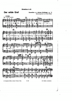 Der wilde Graf (Johann Holzinger) 