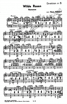 Wilde Rosen von Hans Kliment 