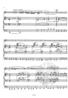 Adagio von Tomaso Giovanni Albinoni 