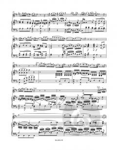 Konzert G-Dur KV 313 (285c) von Wolfgang Amadeus Mozart für Flöte und Orchester im Alle Noten Shop kaufen