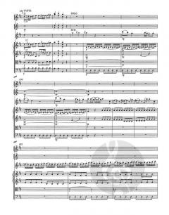 Konzert für Flöte und Orchester KV 314 (285d) von Wolfgang Amadeus Mozart 