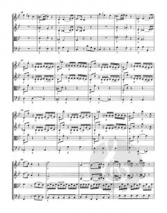 3 Divertimenti für Streicher von Wolfgang Amadeus Mozart 