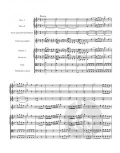 Violinkonzert B-Dur KV 207 von Wolfgang Amadeus Mozart 