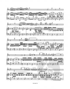 Konzert in B-Dur für Fagott und Orchester KV 191(186e) (W.A. Mozart) 