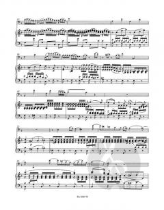 Konzert in B-Dur für Fagott und Orchester KV 191(186e) (W.A. Mozart) 