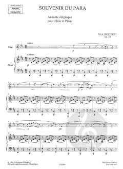 Souvenir du para von Mathieu André Reichert 