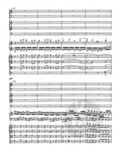 Klavierkonzert Nr. 13 C-Dur KV 415(378b) von Wolfgang Amadeus Mozart 