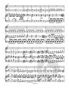 Klavierkonzert Nr.13 C-Dur KV 415(378b) von Christoph Wolff im Alle Noten Shop kaufen