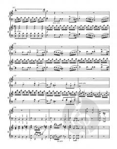 Klavierkonzert Nr.13 C-Dur KV 415(378b) (W.A. Mozart) 