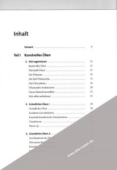 Beruf: Musiker von Gerald Klickstein 