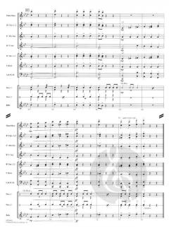 Pirates of the Caribbean 