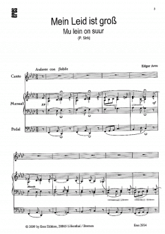 Mein Leid ist gross von Edgar Arro 