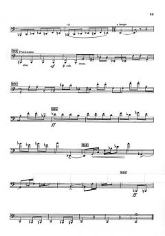 Skalkottas Sonata Concertante 