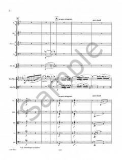 Doppelkonzert in e-Moll op. 88 (Max Bruch) 