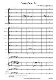 Nobody's Perfect von Michael Reinecke 