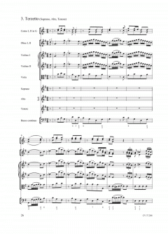 Ein hoher Tag kömmt (Gottfried August Homilius) 